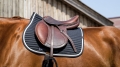 Czaprak Equi Theme Spring11.jpg