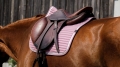 Czaprak Equi Theme Spring.jpg
