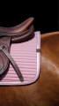 Czaprak Equi Theme Spring1.jpg