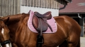 Czaprak Equi Theme Spring2.jpg
