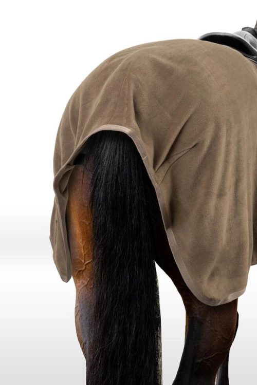 derka-horze-marquess1.jpg