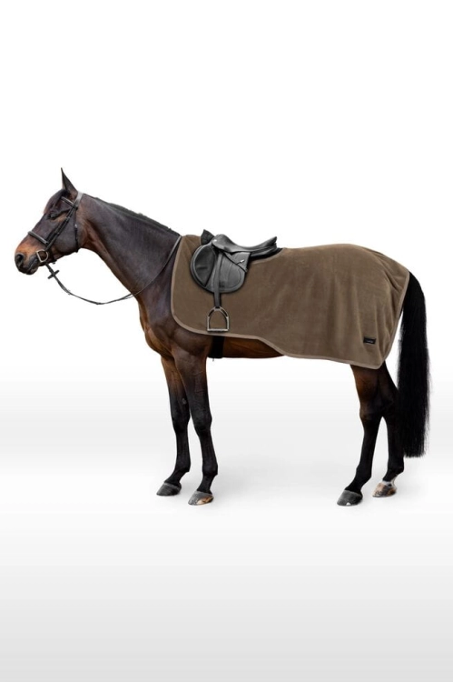 derka-horze-marquess.jpg
