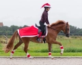 świąteczna-derka-qhp-christmas.webp