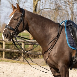 Czarna wodza QHP "Basic"
