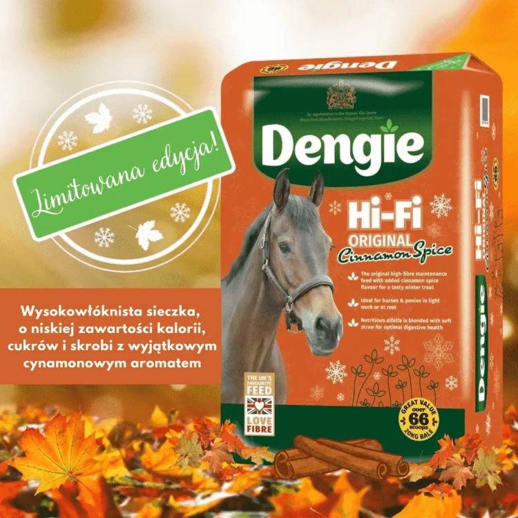 sieczka-dengie-hi-fi-with-cinnamon.webp