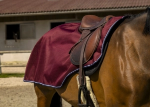 Derka treningowa Equi Theme "Tyrex" 1200D 0g