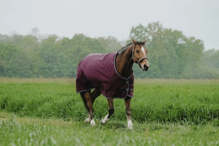 Derka padokowa Equi Theme Tyrex 1200D 50g