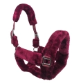 Kantar-Horsenjoy-Cuddly1.jpg