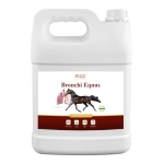 Suplement na układ oddechowy OVER HORSE "BRONCHI Equus" 5l