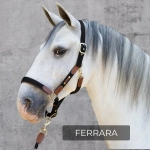 Kantar Fair Play "Ferrara" AW2024 czarny