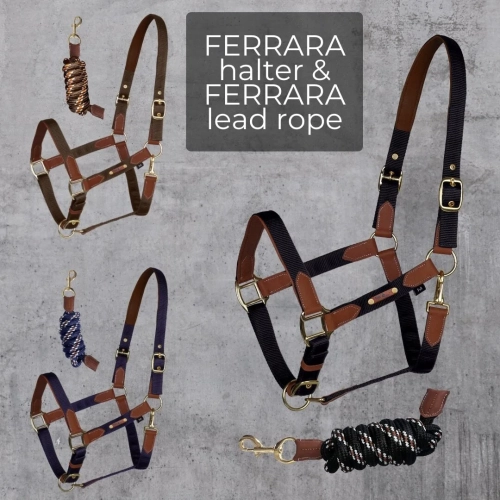 fair-play-ferrara.webp