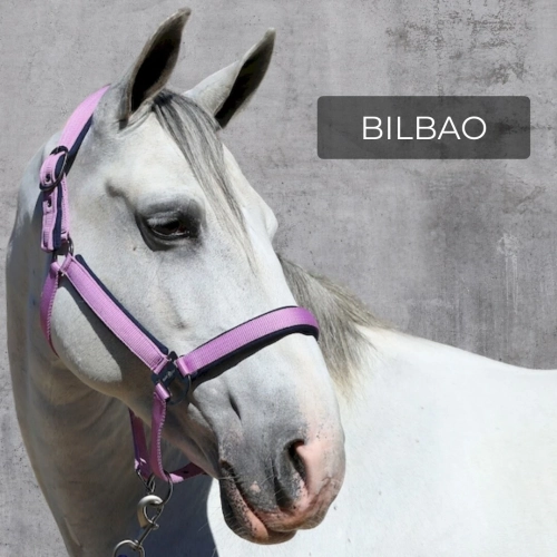 kantar-fair-play-bilbao-lawendow.webp