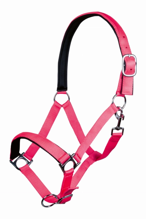 Kantar-Hkm-Stars-Softice-neonowy-rozowy.jpg