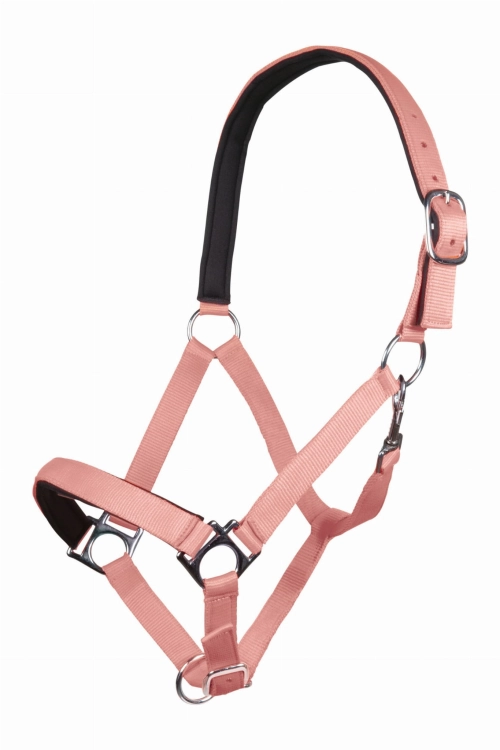 Kantar-Hkm-Stars-Softice-koralowy.jpg