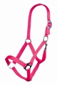 Kantar-HKm-Stars-Economic-softice-neonowy-rozowy.jpg