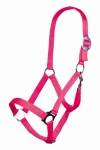Kantar-HKm-Stars-Economic-softice-neonowy-rozowy.jpg