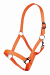 Kantar-HKm-Stars-Economic-softice-neonowy-pomaranczowy.jpg