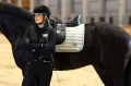 Czaprak-ujezdzeniowy-Lauria-Garrelli-livigno-elegance.webp.webp