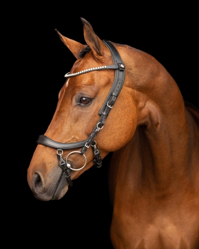 P700zw-4 (1).jpg