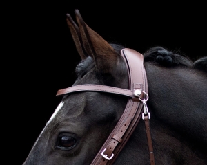 Naczółek do ogłowia PresTeq "FaySport Classic" brown