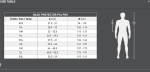 swingp24pro.JPG