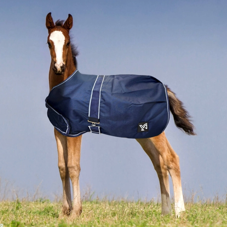 Derka-York-Foal-100g-zrebieca.webp