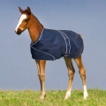 Derka-York-Foal-100g-zrebieca-bo.webp