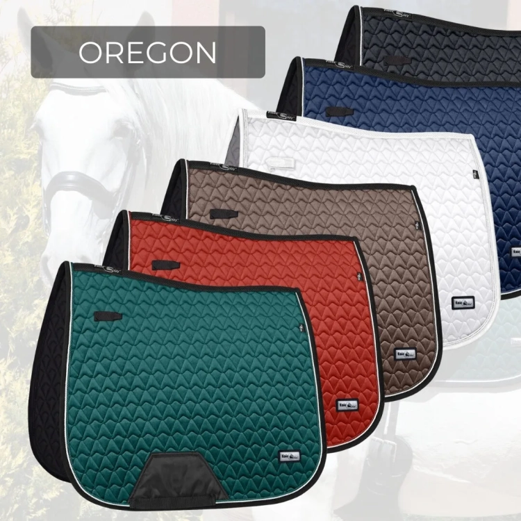 oregon.webp
