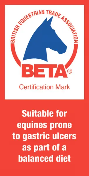 BETA EGUS logo.webp