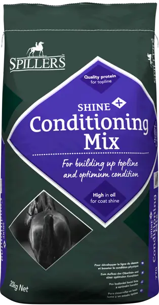 spillers-Shine-Plus-Conditioning (1).webp