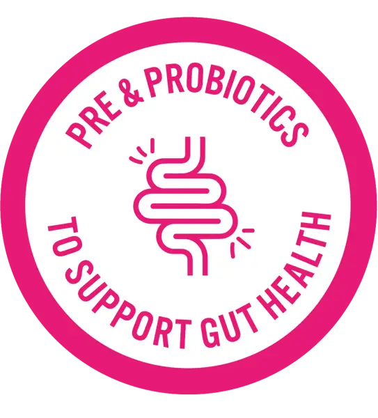 Pink_Gut_Health_Icon.webp