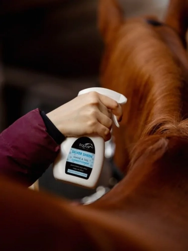 equus-care-silver-shine.webp