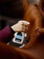 equus-care-silver-shine.webp