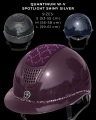 Quantinym-spotligth-shiny-silver.webp