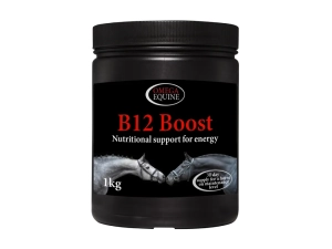 Witamina B12 OMEGA EQUINE "B12 Boots" 1 kg