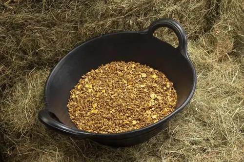 SPILLERS Stud & Youngstock Mix l.webp