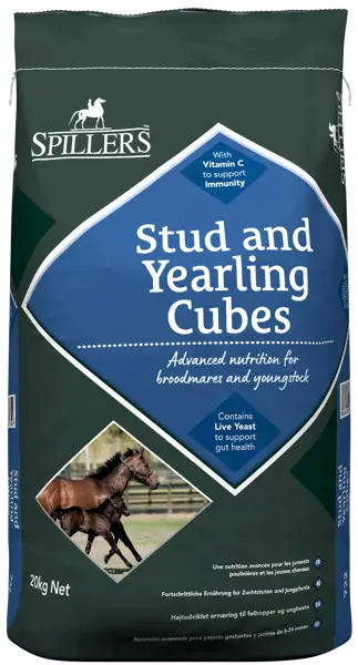 SPILLERS-Stud-and-Yearling-Cubes.webp