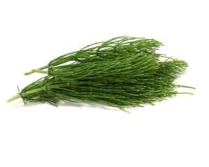 Skrzyp polny EQUIHERBS 500 g