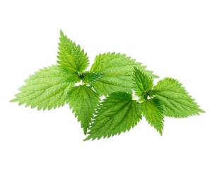 Pokrzywa zwyczajna EQUIHERBS 2,5 kg