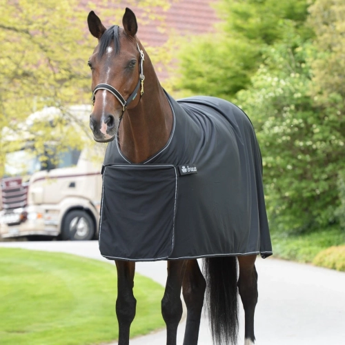 Panel Prize Cooler Black silver .webp