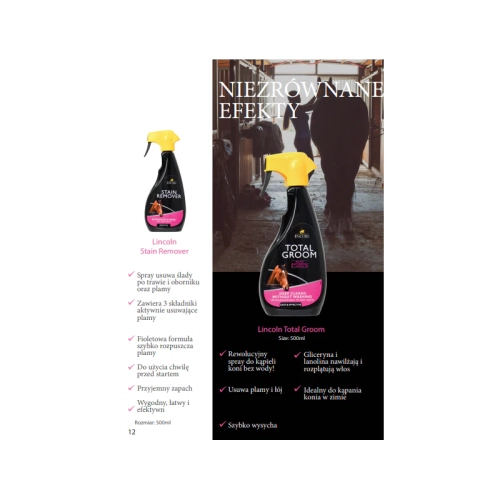 lincoln-suchy-szampon-total-groom.webp