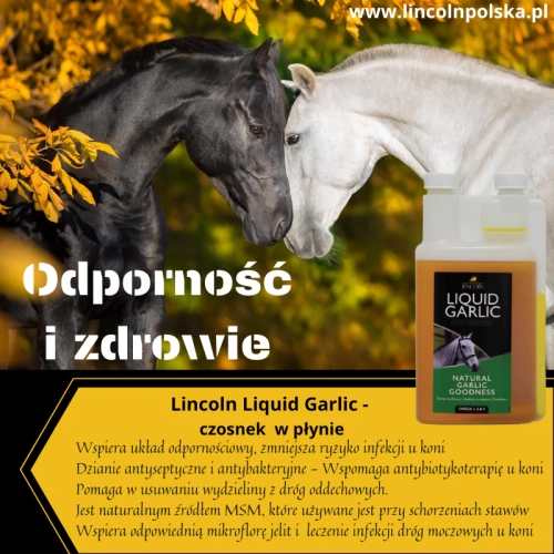 czosnek-w-plynie-lincoln2.webp