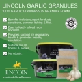 czosnek-w-plynie-lincoln-garlic.webp