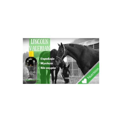 lincoln-valerian-cordial-waleriana-dla-koni2.webp