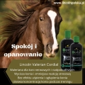 lincoln-valerian-cordial-waleriana-dla-koni.webp