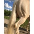 lincoln-szampon-do-koni-siwych-magic-shampoo5.webp