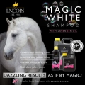 lincoln-szampon-do-koni-siwych-magic-shampoo.webp