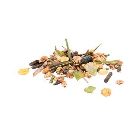 Pavo-SportsFit-musli-sportowe-konie.jpg