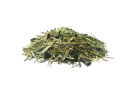 PAVO-DailyPlus-sieczka-koni.png