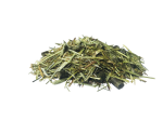 PAVO-DailyPlus-sieczka-koni.png